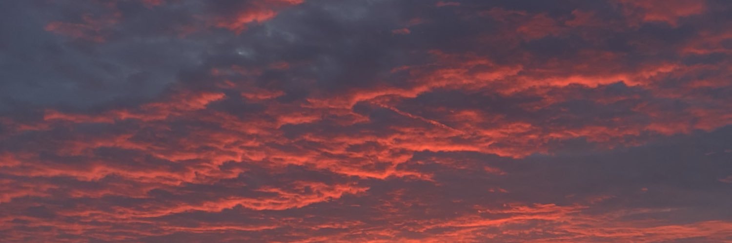 mettedvesloev's profile banner image