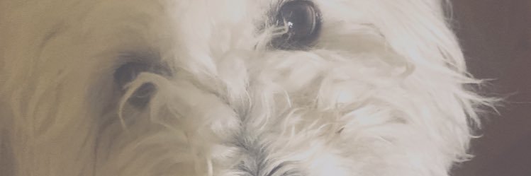 Kisey_'s profile banner image
