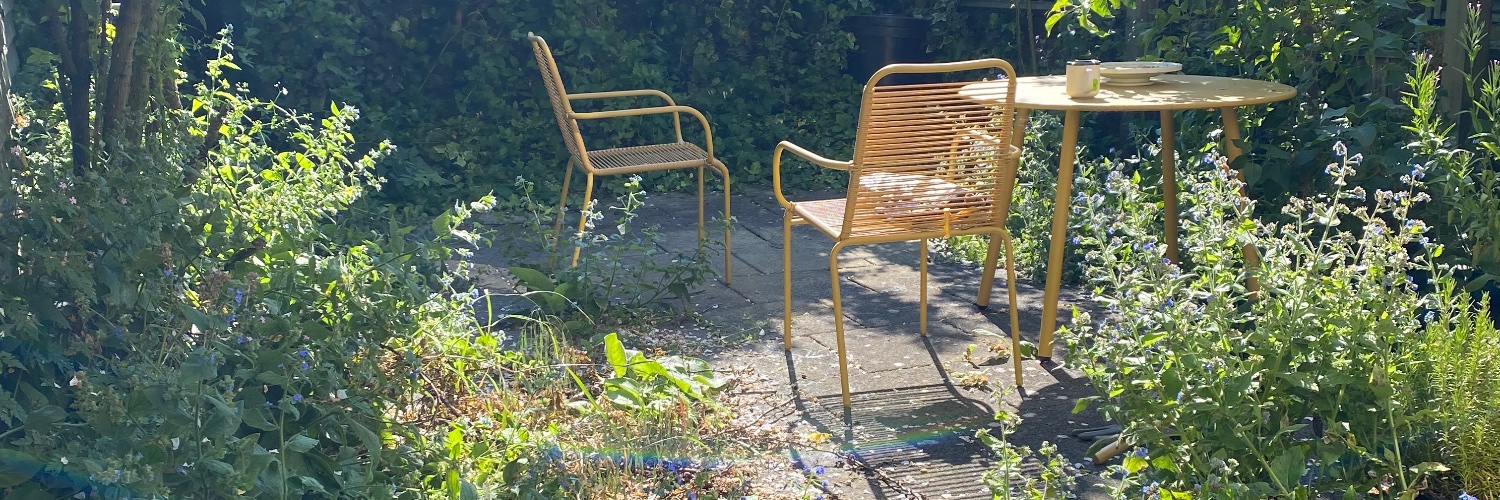 Stephanie Borel banner