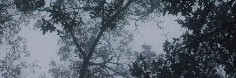 baav01's profile banner image