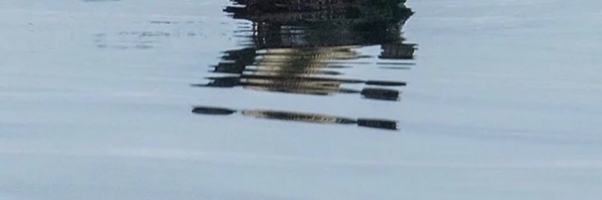 idauris26's profile banner image