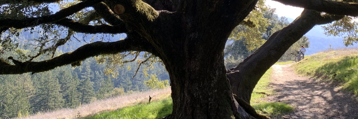 SteveMooney's profile banner image