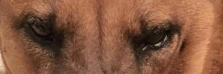 Madam_SB's profile banner image