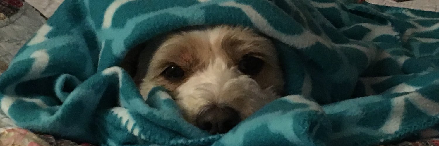 Alinafed's profile banner image