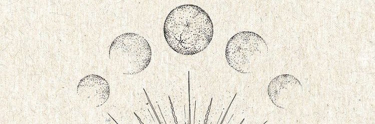 mszeleneochi's profile banner image