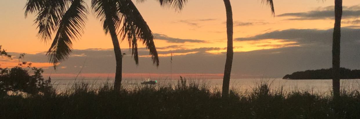 mshea95's profile banner image