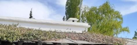 tomaslanzi's profile banner image