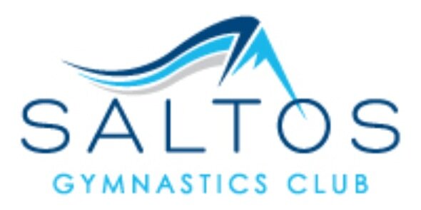 SaltosElite's profile banner image