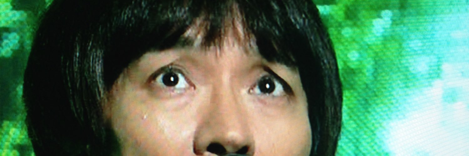 Spitzspider's profile banner image