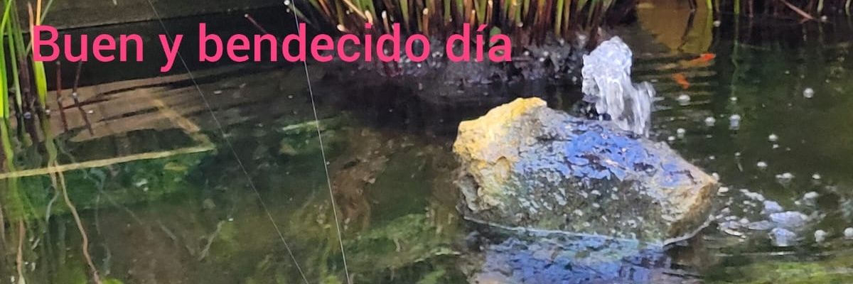 MarioMjcons63's profile banner image