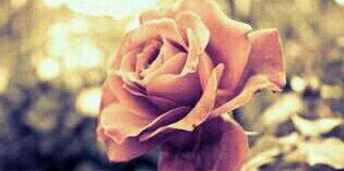 (: banner