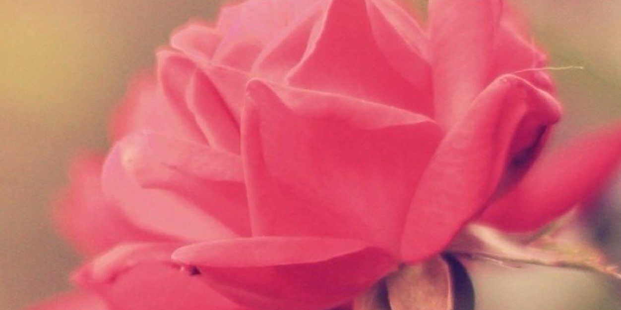 basma ali banner