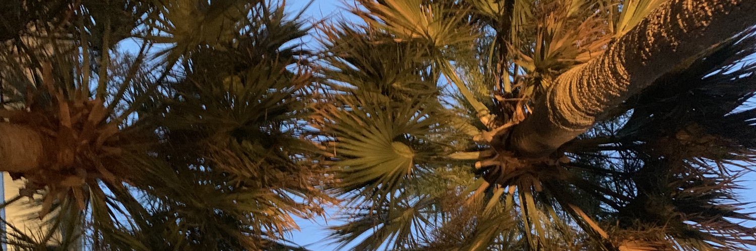 noahb46's profile banner image