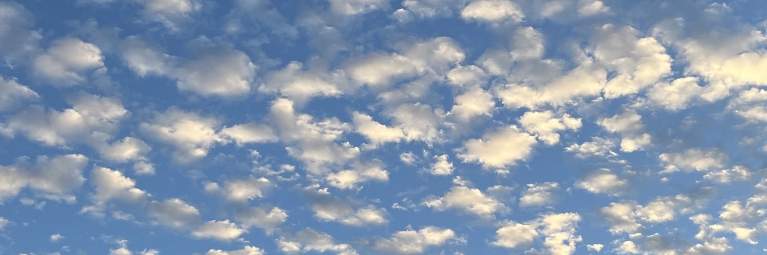 YeseniaaG__'s profile banner image