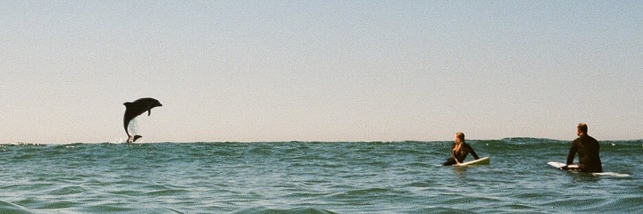 natetrask08's profile banner image