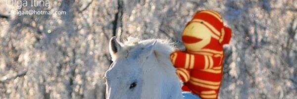 AntoineSock's profile banner image
