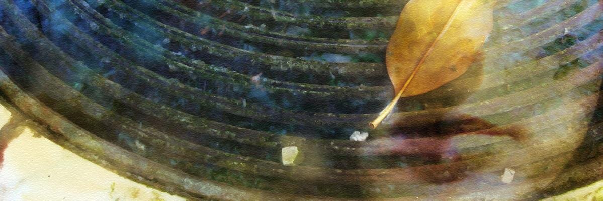 MargaritaGachet's profile banner image
