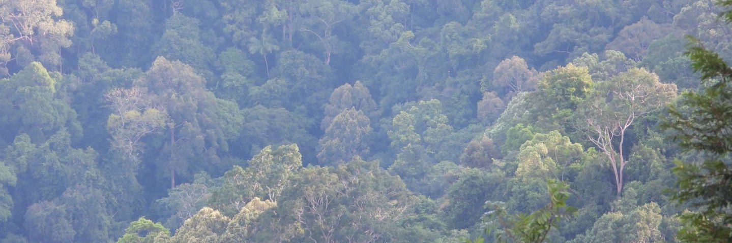 PIPAT SOISOOK banner