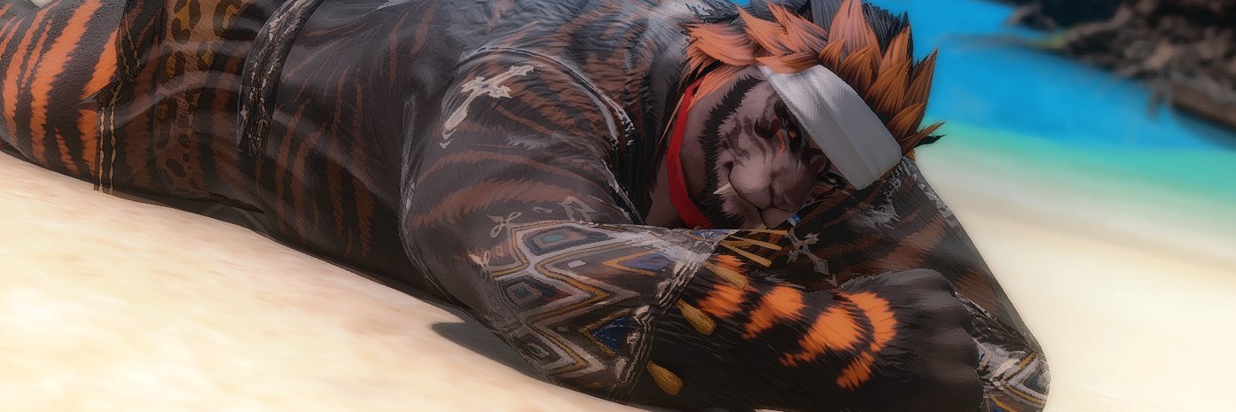 Monty banner