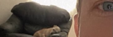 pepsicaliente's profile banner image