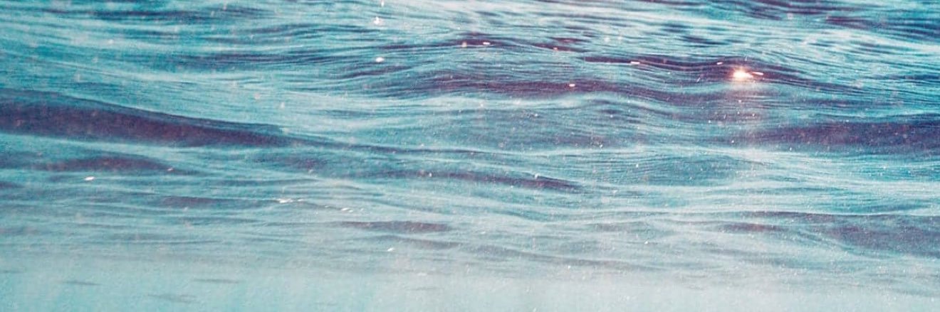 nicolecldr's profile banner image