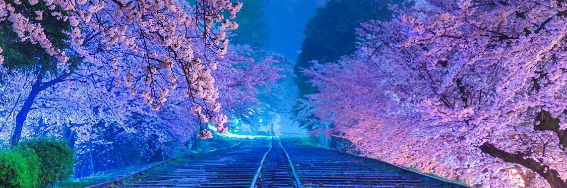 bien920682's profile banner image