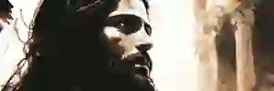 TestUse71488844's profile banner image