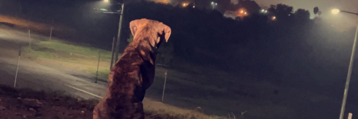 _JacobMurphy_'s profile banner image