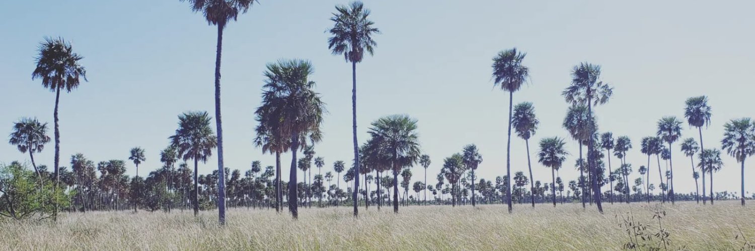 TotiDelbon's profile banner image