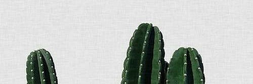iskaaulfaa's profile banner image