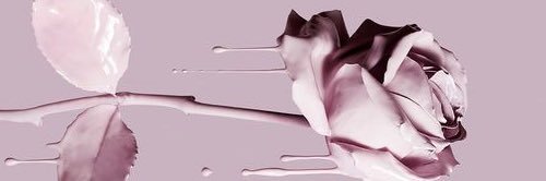 Yesi Alva banner