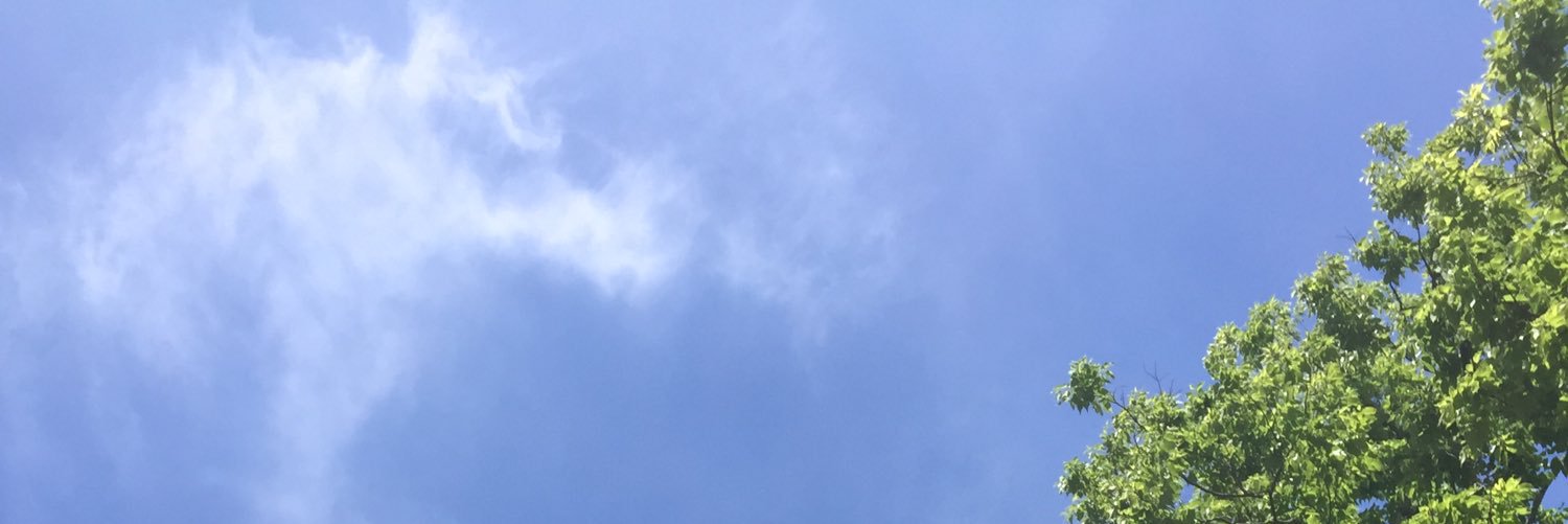 susellwrites's profile banner image