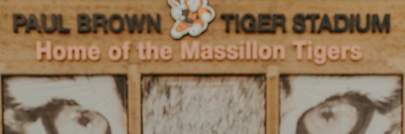 halietonn_'s profile banner image