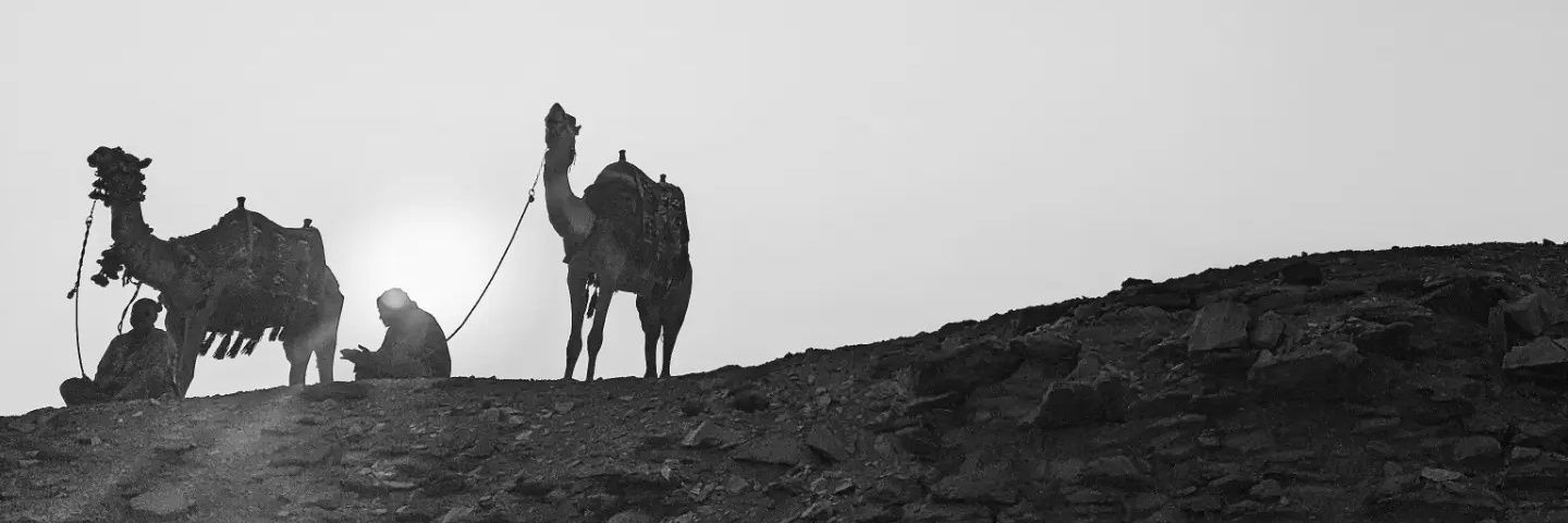 dellidrus's profile banner image
