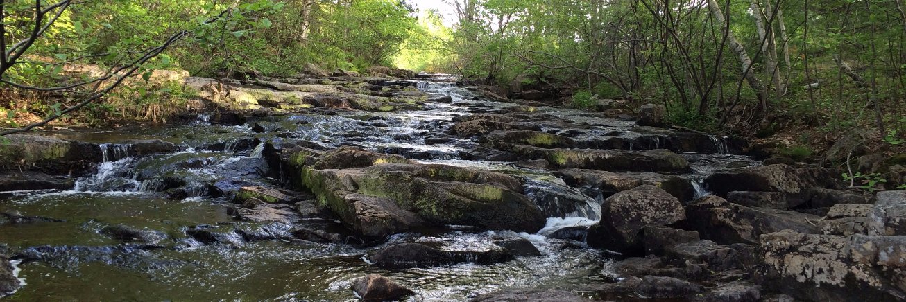 Dr. Cynthia Castro banner