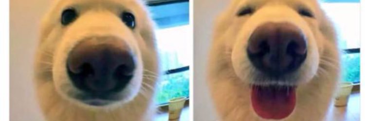 ConnorNoll's profile banner image