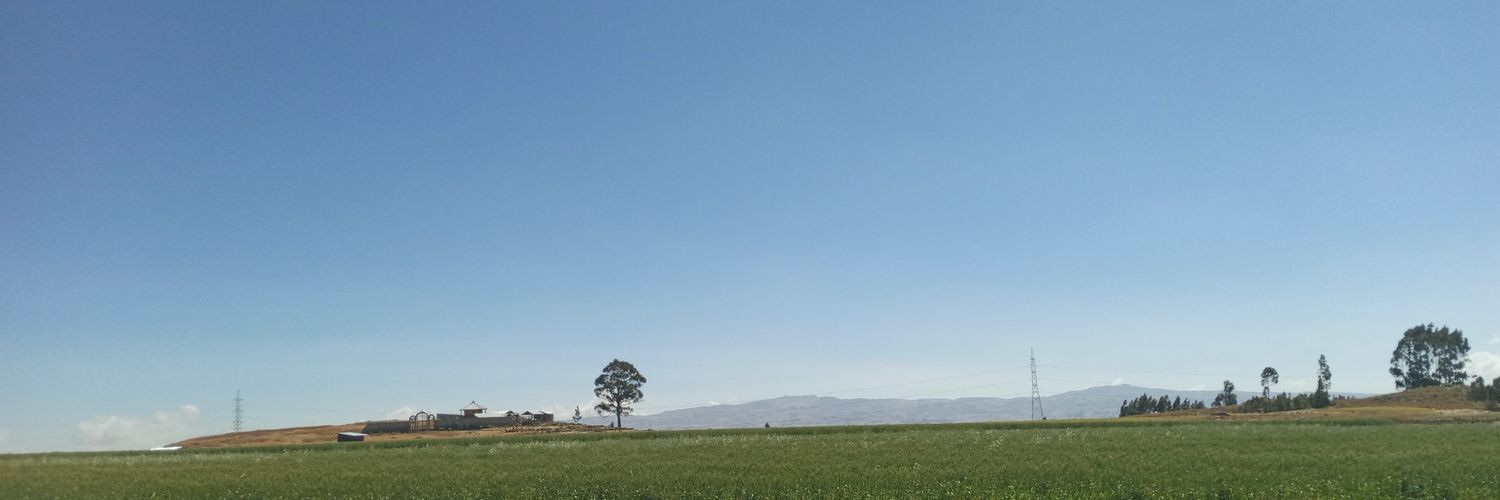 tedotay's profile banner image