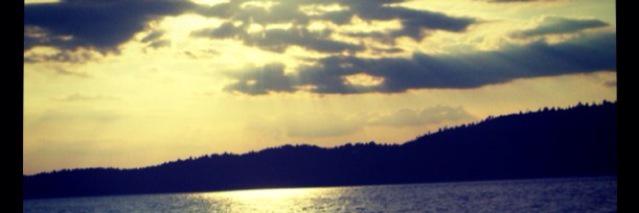 Samantha Chavis banner
