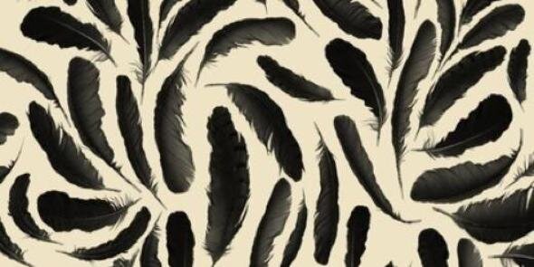 Female Things♔ banner