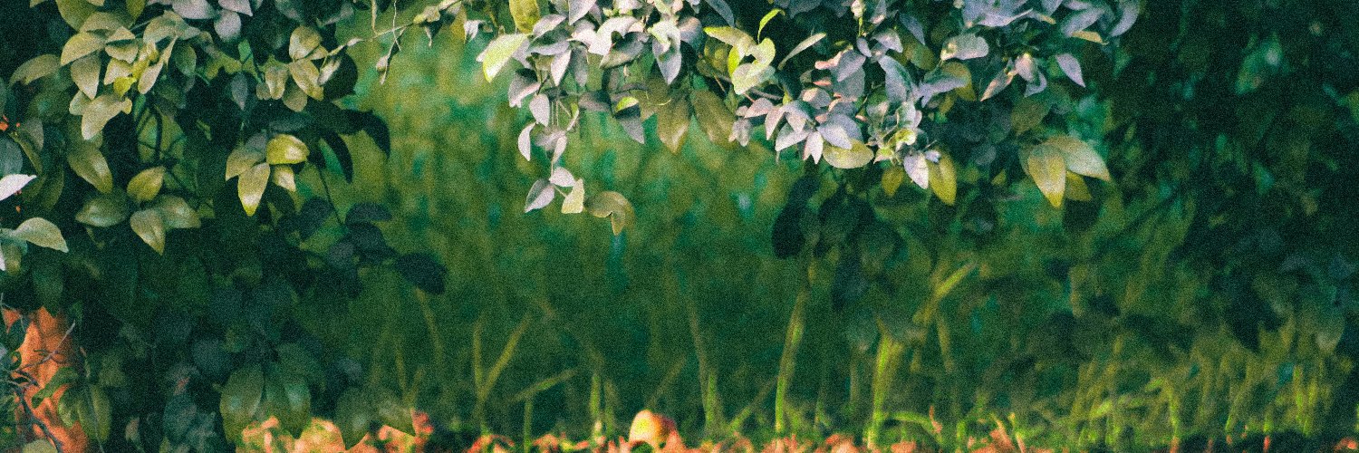 Fariias10's profile banner image