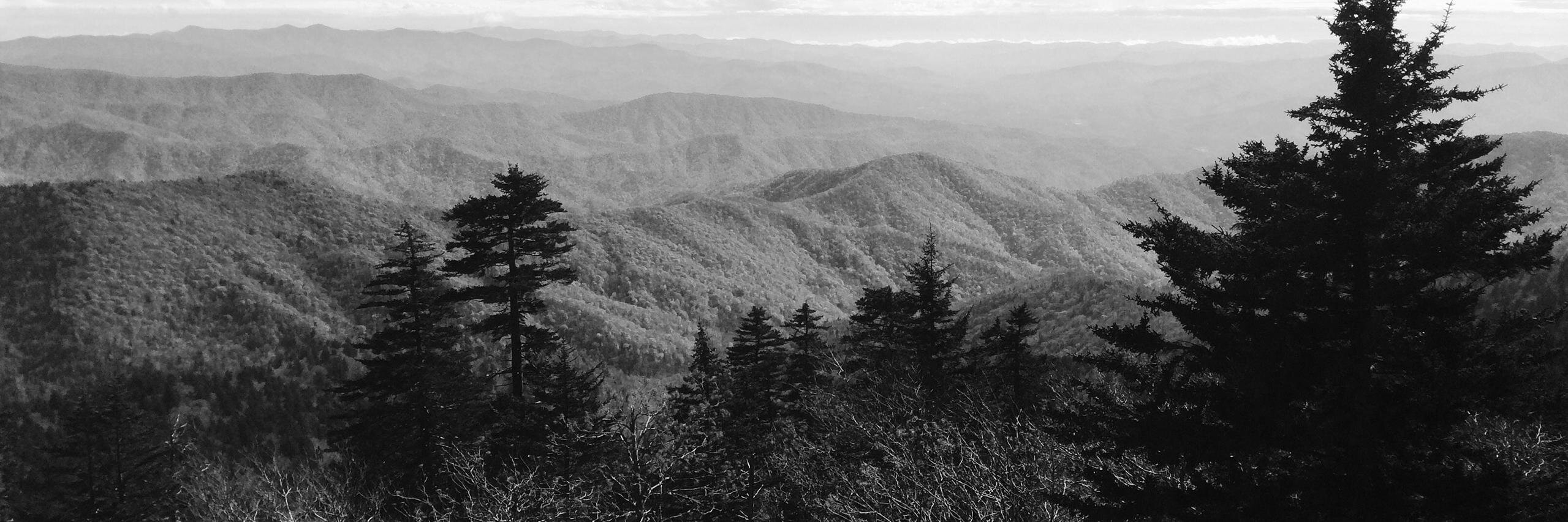 colehau's profile banner image