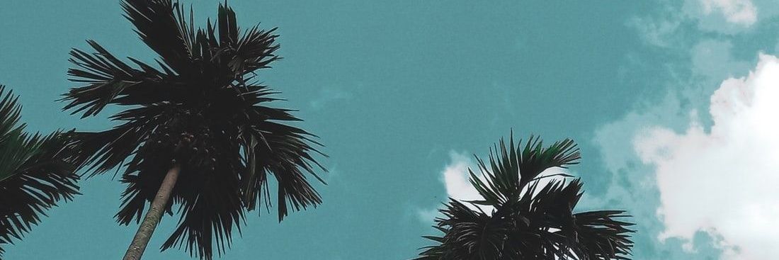 gusdegede's profile banner image