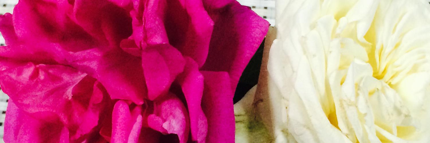 shadaahbk's profile banner image