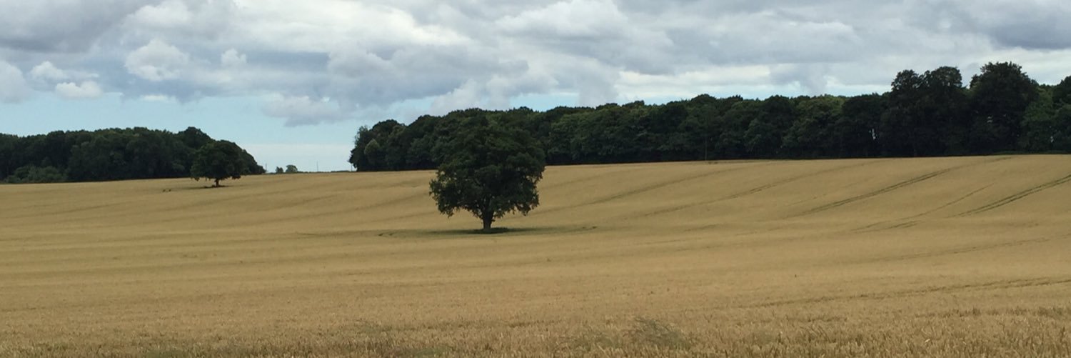 Markrowley's profile banner image