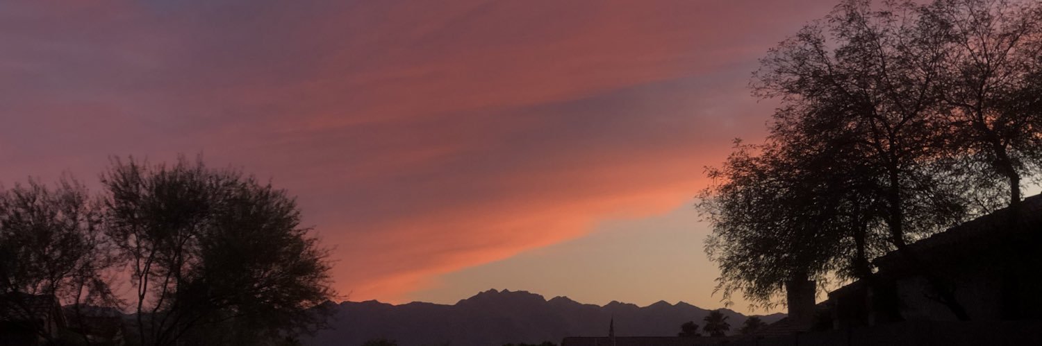 PatilloMegan's profile banner image