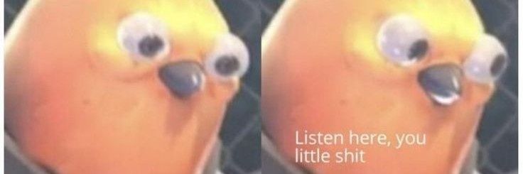 Rooster Clyde banner