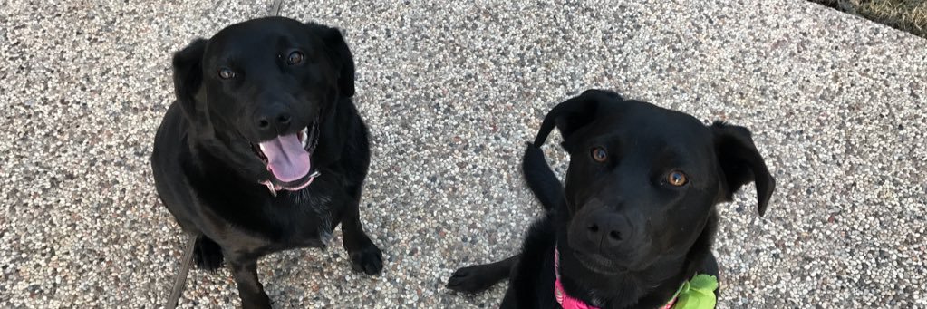 Alex Barnhill banner