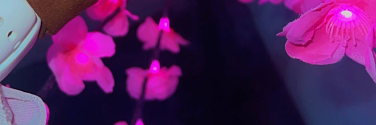 soyluiisa_'s profile banner image