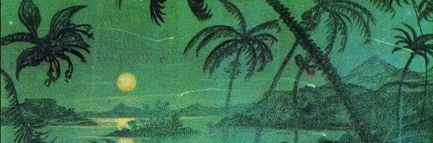DANI banner