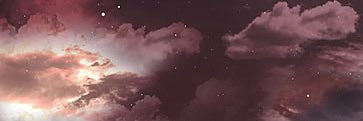 loonillc's profile banner image
